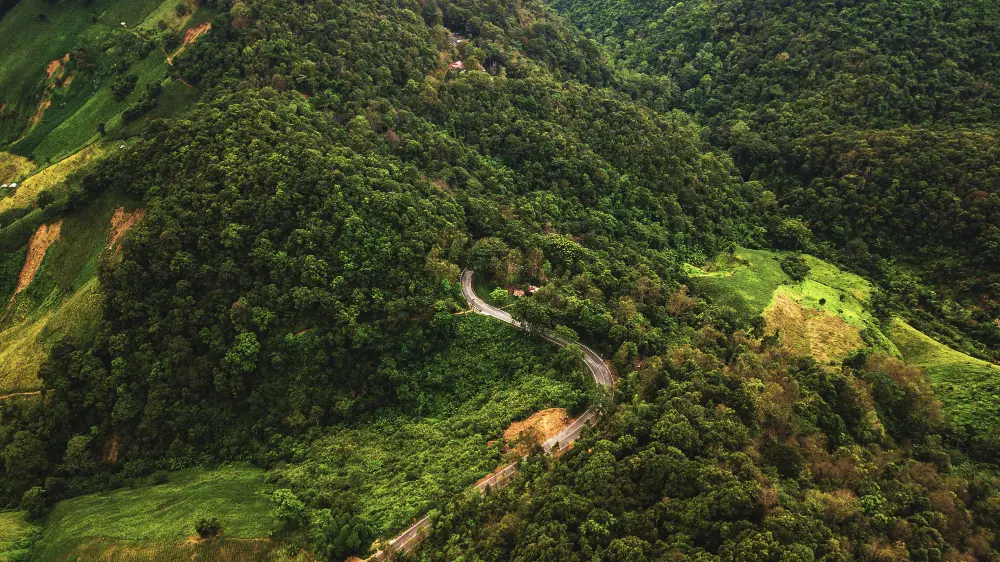 Thekkady