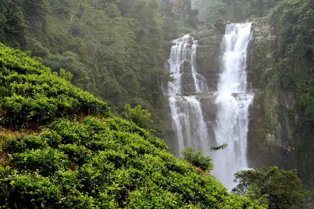 Wayanad