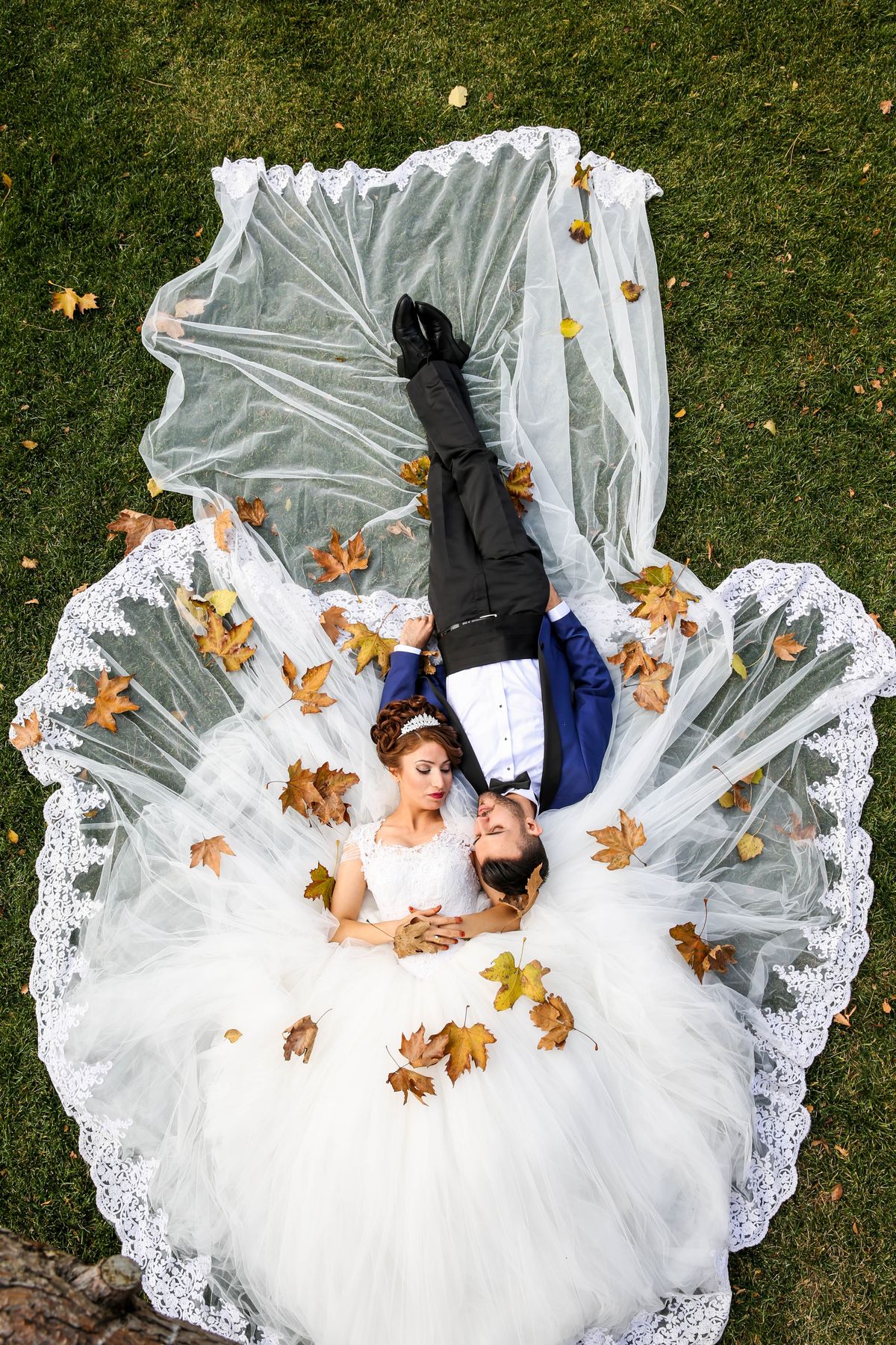 Wedding Photo