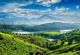 Yercaud Hill Station Tour Package