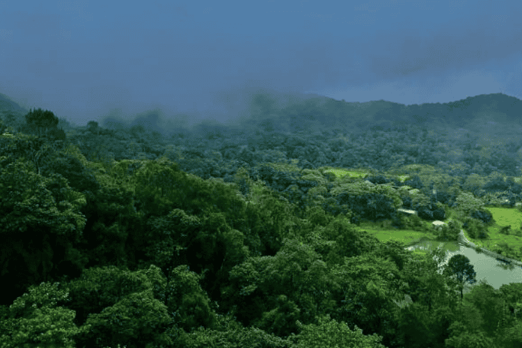 Kodaikanal Hill Station Tour Package