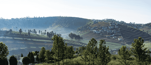 Ooty Hills