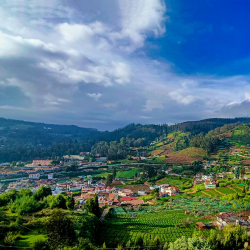 Ooty Hills Retreat